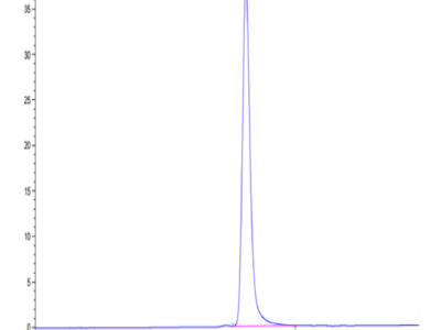 Biotinylated Human SIRP Beta/CD172b Protein (SRP-HM40BB)