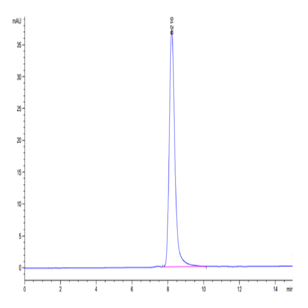 Biotinylated Human SIRP Beta/CD172b Protein (SRP-HM40BB) Biotinylated Human SIRP Beta/CD172b Protein (SRP-HM40BB)