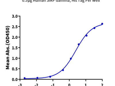 Human SIRP Gamma/CD172g Protein (SRP-HM40G)