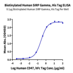 Biotinylated Human SIRP gamma/CD172g Protein (SRP-HM40GB)