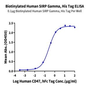Biotinylated Human SIRP gamma/CD172g Protein (SRP-HM40GB)