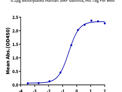 Biotinylated Human SIRP gamma/CD172g Protein (SRP-HM40GB)