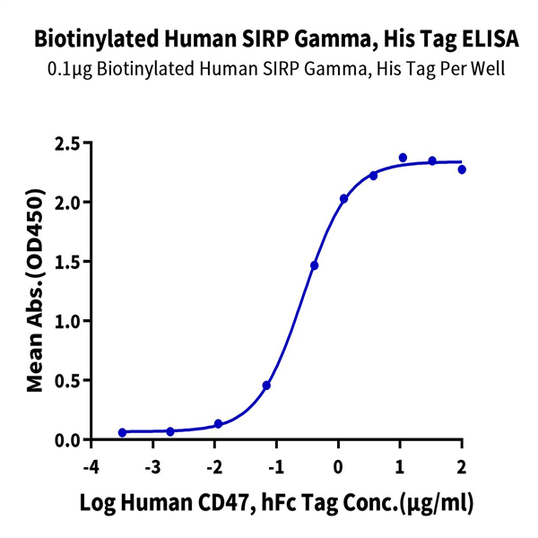 Biotinylated Human SIRP gamma/CD172g Protein (SRP-HM40GB) Biotinylated Human SIRP gamma/CD172g Protein (SRP-HM40GB)