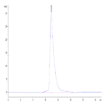 Biotinylated Human SIRP gamma/CD172g Protein (SRP-HM40GB)