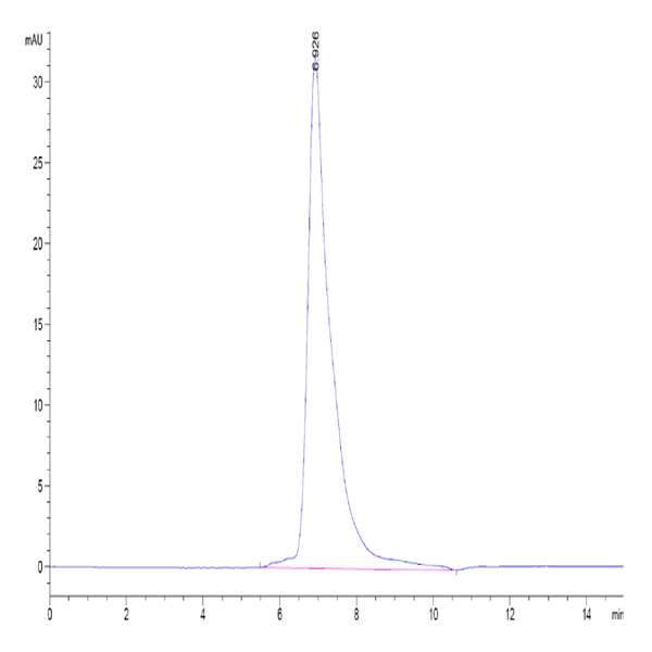 Biotinylated Human SIRP gamma/CD172g Protein (SRP-HM40GB)