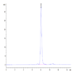 Human SIRP Beta 1 isoform 3 Protein (SRP-HM4BL)