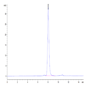 Human SIRP Beta 1 isoform 3 Protein (SRP-HM4BL)