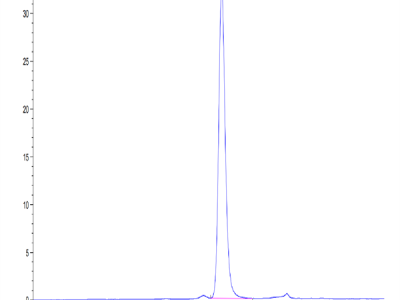 Human SIRP Beta 1 isoform 3 Protein (SRP-HM4BL)