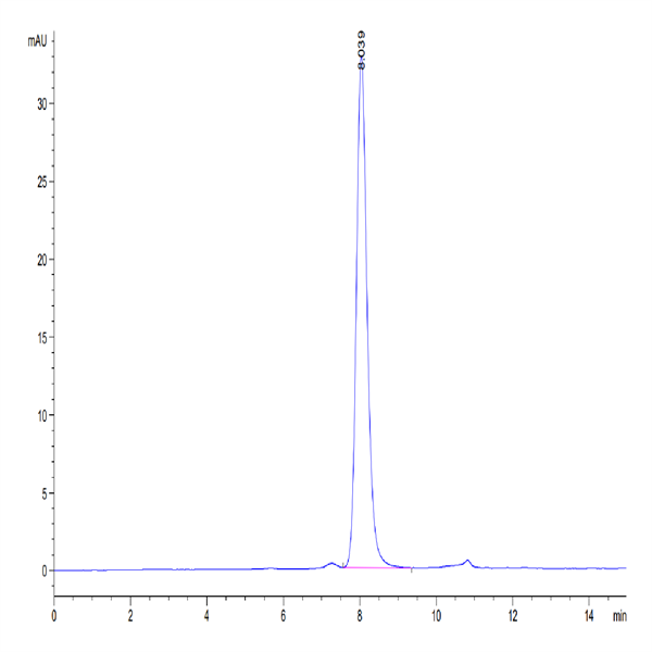 Human SIRP Beta 1 isoform 3 Protein (SRP-HM4BL) Human SIRP Beta 1 isoform 3 Protein (SRP-HM4BL)