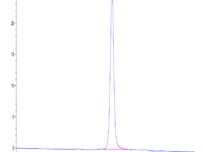 Biotinylated Human SIRP Beta 1 Isoform 3 Protein (SRP-HM4BLB)