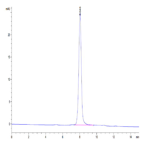 Biotinylated Human SIRP Beta 1 Isoform 3 Protein (SRP-HM4BLB) Biotinylated Human SIRP Beta 1 Isoform 3 Protein (SRP-HM4BLB)
