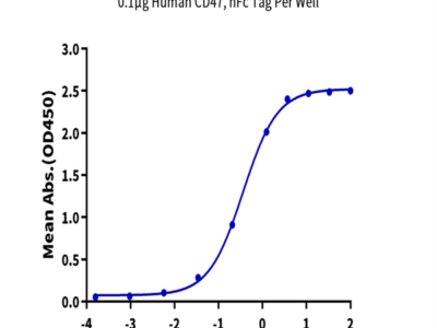 Biotinylated Human SIRP alpha V2/CD172a Protein (SRP-HM4V2B)