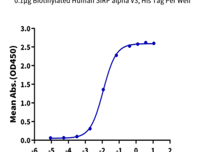 Biotinylated Human SIRP alpha V3 Protein (SRP-HM4V3B)