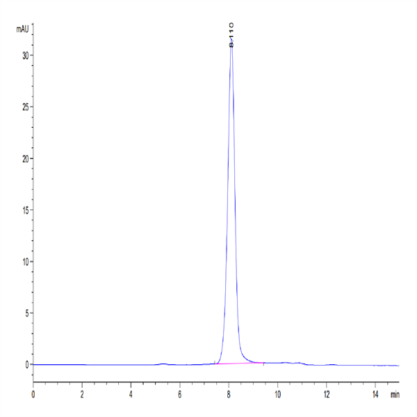 Biotinylated Human SIRP alpha V3 Protein (SRP-HM4V3B)