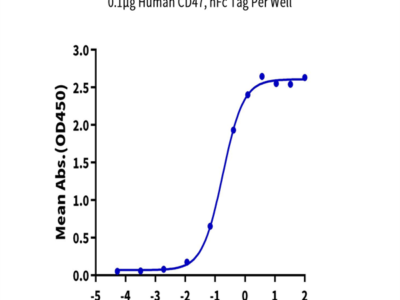 Biotinylated Human SIRP alpha V4 Protein (SRP-HM4V4B)