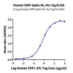 Human SIRP alpha V6 Protein (SRP-HM4V6)