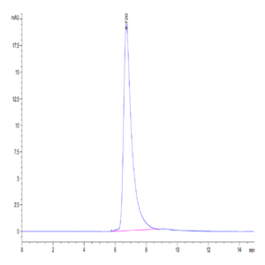 Human SIRP alpha V6 Protein (SRP-HM4V6)