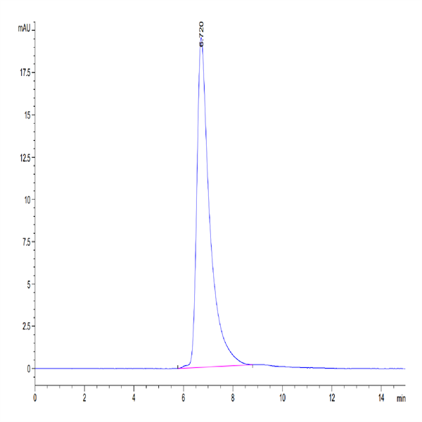 Human SIRP alpha V6 Protein (SRP-HM4V6)