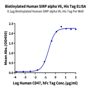 Biotinylated Human SIRP alpha V6 Protein (SRP-HM4V6B)