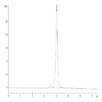 Biotinylated Human SIRP alpha V6 Protein (SRP-HM4V6B)