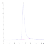 Human SIRP alpha V8 Protein (SRP-HM4V8)