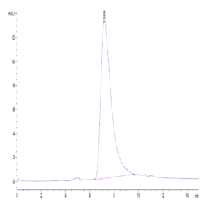 Human SIRP alpha V8 Protein (SRP-HM4V8)