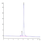 Biotinylated Human SIRP alpha V8 Protein (SRP-HM4V8B)