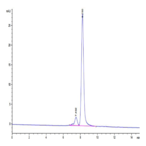Biotinylated Human SIRP alpha V8 Protein (SRP-HM4V8B)