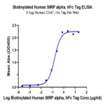 Biotinylated Human SIRP alpha/CD172a Protein (SRP-HM572B)