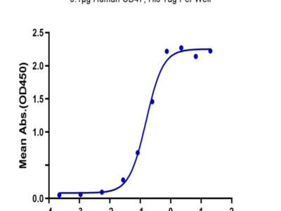 Biotinylated Human SIRP alpha/CD172a Protein (SRP-HM572B)