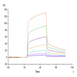 Mouse SIRP alpha/CD172a Protein (SRP-MM172)
