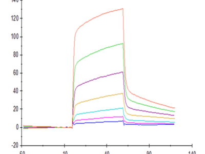 Mouse SIRP alpha/CD172a Protein (SRP-MM172)