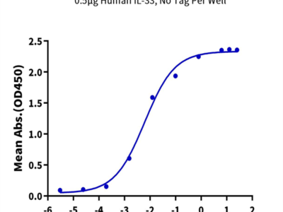Human IL-1RL1/ST2 Protein (ST2-HM1L1)