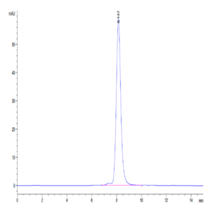Human IL-1RL1/ST2 Protein (ST2-HM1L1)