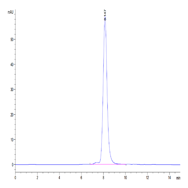 Human IL-1RL1/ST2 Protein (ST2-HM1L1)