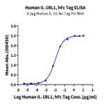Human IL-1RL1/ST2 Protein (ST2-HM2L1)