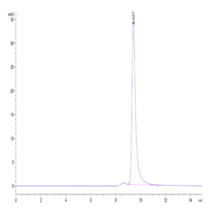 Human UBASH3B/STS1 Protein (STS-HE13B)