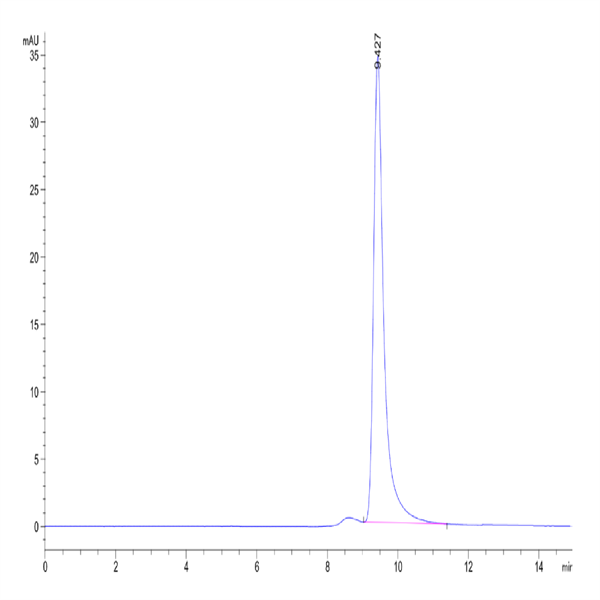 Human UBASH3B/STS1 Protein (STS-HE13B)