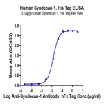 Human Syndecan-1 Protein (SYN-HM101)