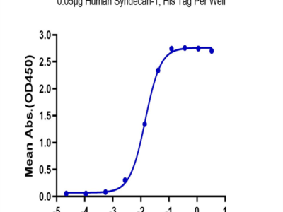 Human Syndecan-1 Protein (SYN-HM101)