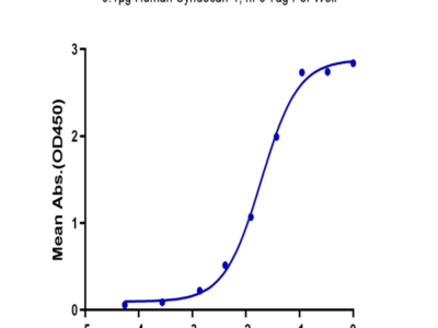 Human Syndecan-1 Protein (SYN-HM201)