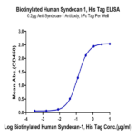 Biotinylated Human Syndecan-1 Protein (SYN-HM401B)