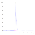 Mouse Syndecan-1 Protein (SYN-MM201)