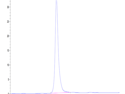 Mouse Syndecan-1 Protein (SYN-MM201)