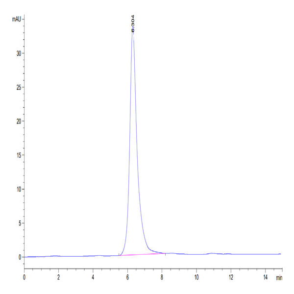Mouse Syndecan-1 Protein (SYN-MM201) Mouse Syndecan-1 Protein (SYN-MM201)