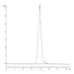 Rabbit Syndecan-1 Protein (SYN-RM101)