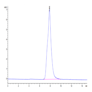 Rabbit Syndecan-1 Protein (SYN-RM101)