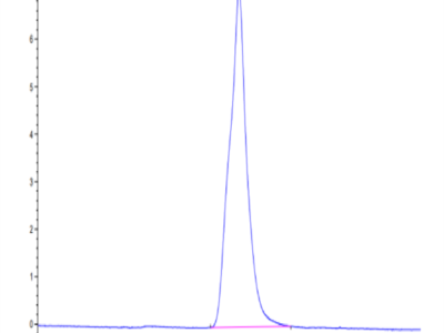 Rabbit Syndecan-1 Protein (SYN-RM101)