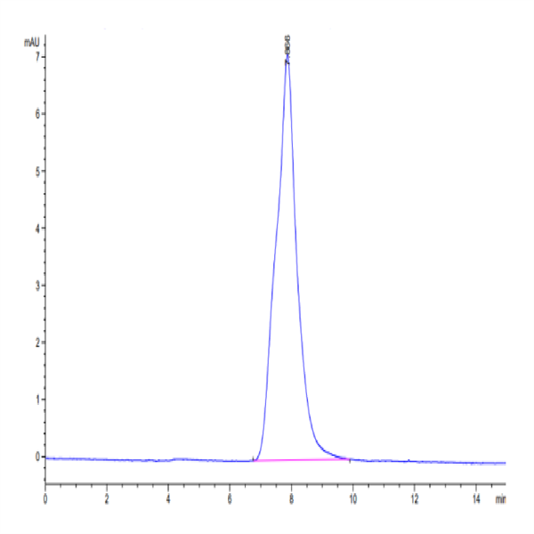 Rabbit Syndecan-1 Protein (SYN-RM101) Rabbit Syndecan-1 Protein (SYN-RM101)