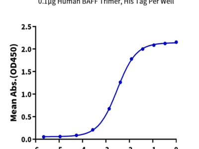 Human TACI/TNFRSF13B Protein (TAC-HM213)